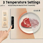 Portable And Foldable Soft Warming Mat